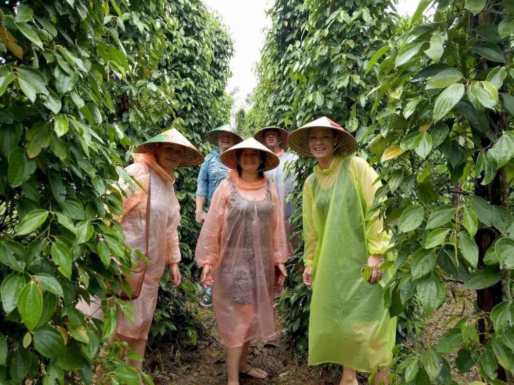 Visitors enjoy touring local farms to see traditional pepper drying and sorting methods on Phu Quoc Island 